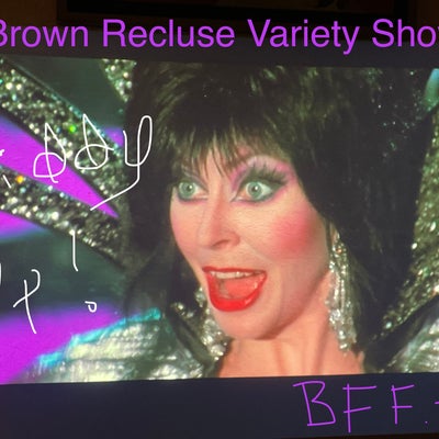 Brown Recluse Variety Show #136
