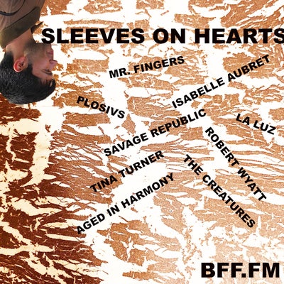 sleeves on hearts - 1.28.22
