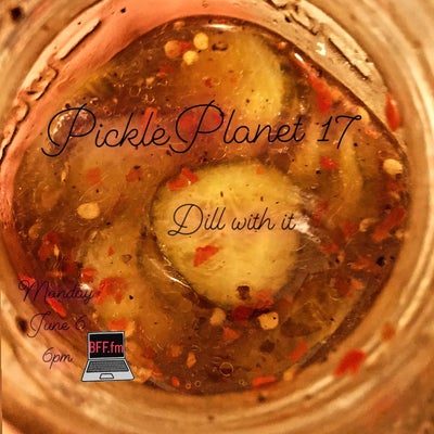 PICKLEPLANET #17 DILL WITH IT