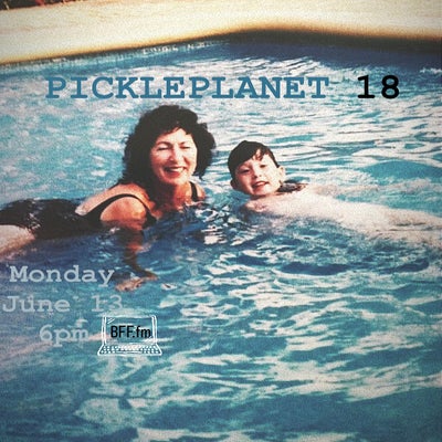 PICKLEPLANET #18 HAPPY BABS DAY