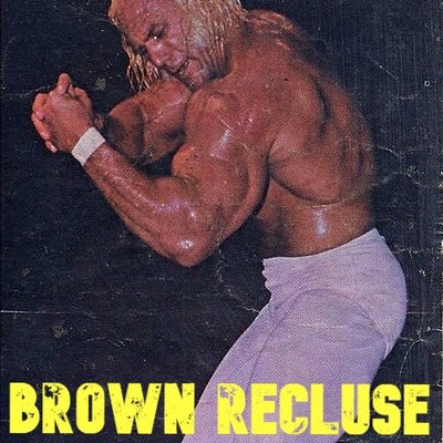 Brown Recluse Variety Show #151