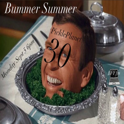 PICKLEPLANET #30 BUMMER SUMMER