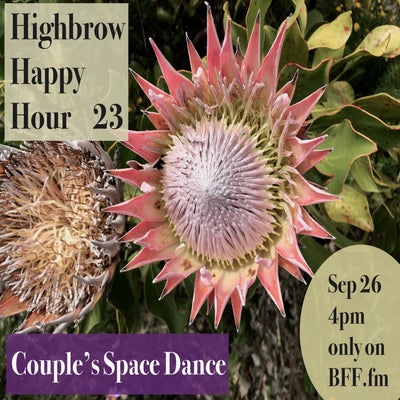 HHH 23 - Couple's Space Dance