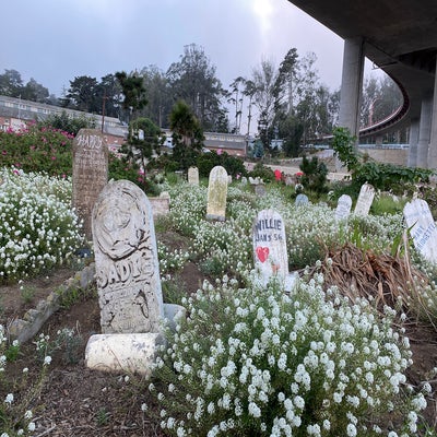 San Francisco Cemeteries, Part 4