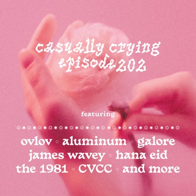 Casually Crying - Episode 202 - Welcome to 2023: Ovlov, Aluminum, James Wavey, Galore