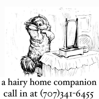  a hairy home companion