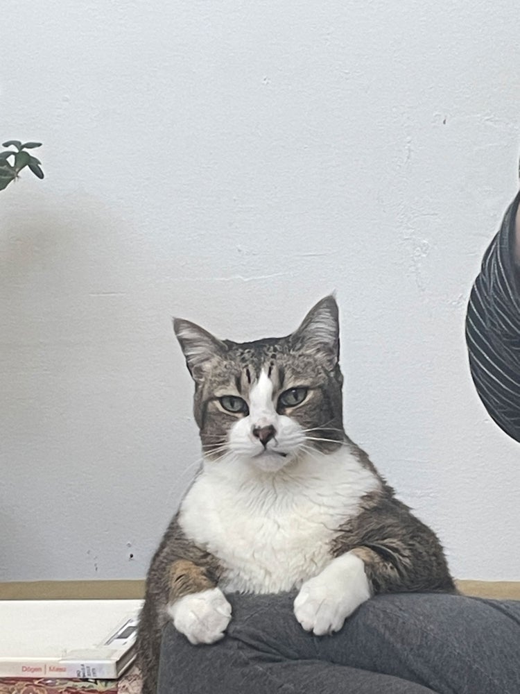 spud is a bodhisattva spud is a bodhisattva