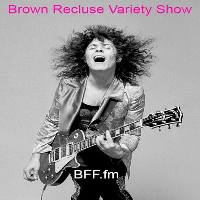 Brown Recluse Variety Show #159
