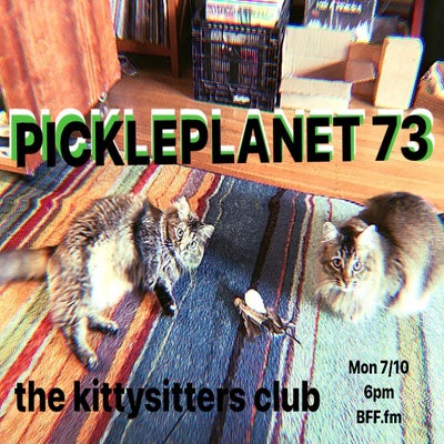 PICKLEPLANET #73 the kittysitters club