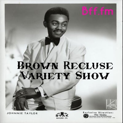 Brown Recluse Variety Show #161