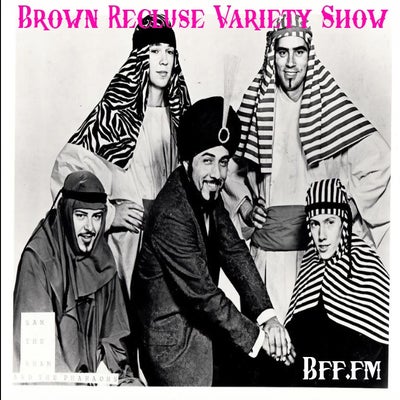 Brown Recluse Variety Show #162