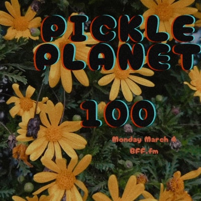 PICKLEPLANET #100