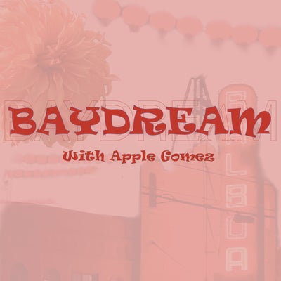Baydream Ep. 15 Interview w/ Roy Lucian Baza