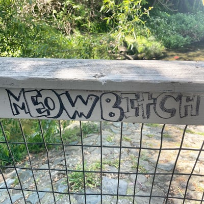 PR307 - Meow Bitch