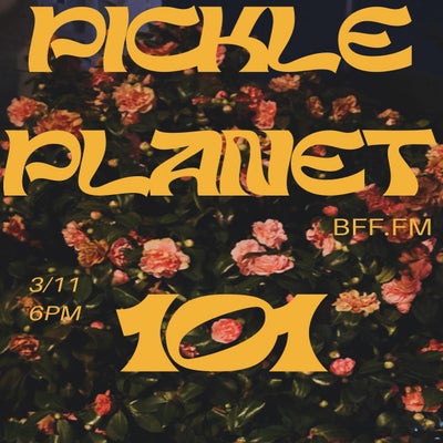 PICKLEPLANET #101