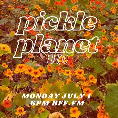 PICKLEPLANET #110