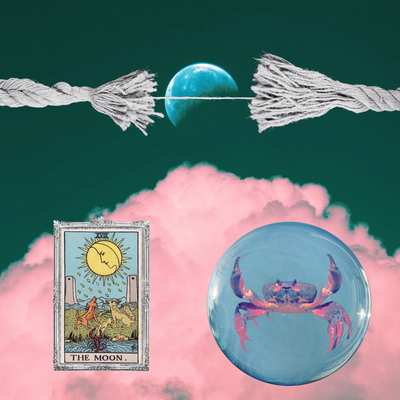 HD-31✨🦞✨ THE MOON 🌙 KNOWS