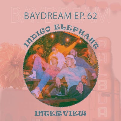 Baydream Ep. 62 Interview w/ Indigo Elephant