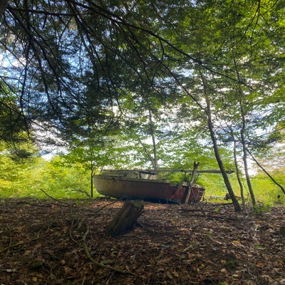 EP. 273: Short King Saratoga