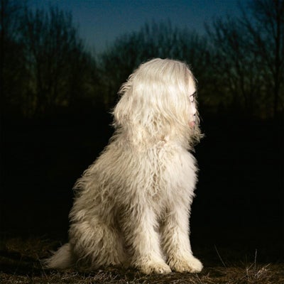 ALLSORTS OF BLAH BLAH