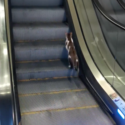 episode two twenty six