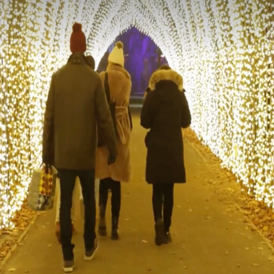 Lightscape! The San Francisco Botanical Garden! A library!
