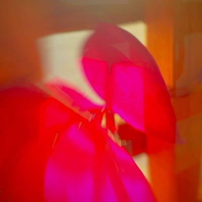 episode two thirty four - looks so healthy, it's awesome