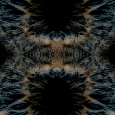 episode two thirty seven - the famous model