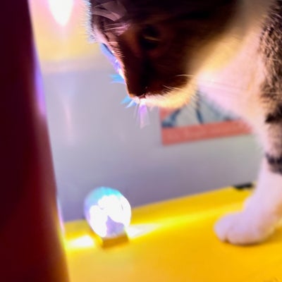 episode two thirty eight - mi corazón abrió la puerta