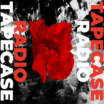 episode two forty one - everyone set to do something