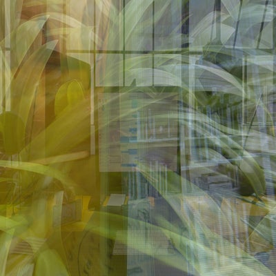 episode two forty two - the garden yard