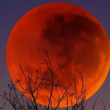 ALLSORTS OF FULL MOON