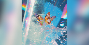 Album Review: Butterfly by Daphni