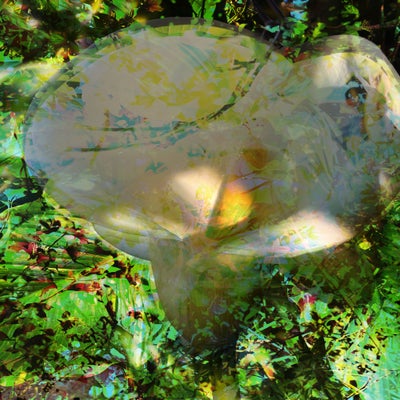 episode two forty four - what i got to eat today