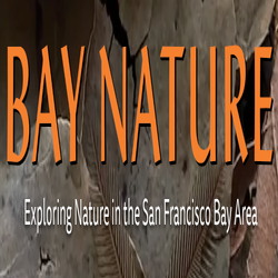 Victoria Schlesinger and Bay Nature!