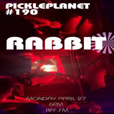 PICKLEPLANET #190 RABBIT!