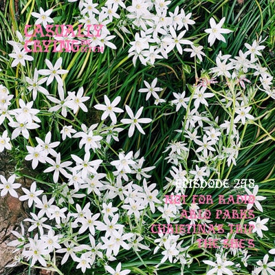 Casually Crying - Episode 298 - Not For Radio, Arlo Parks, Christina's Trip, The She's