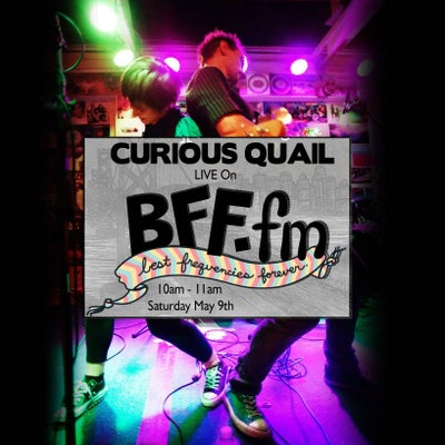 SDZ Records Showcase b/w Curious Quail Interview with Baqvas