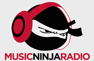 The Music Ninja's Top 5 Albums of 2015