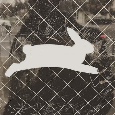 PR055 - White Rabbit