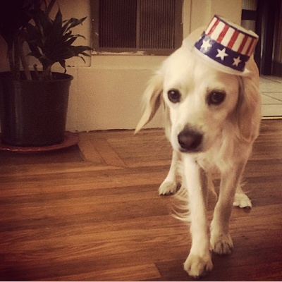 The Boss: Happy Fourth of July from Bruce with Love