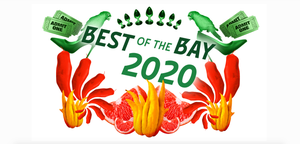You Voted BFF.fm Best of the Bay!