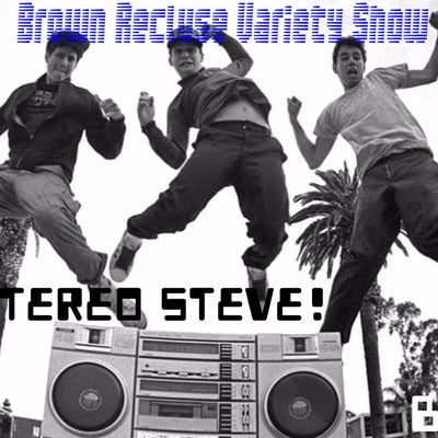 BRVS #50 w/ Stereo Steve LIVE in studio