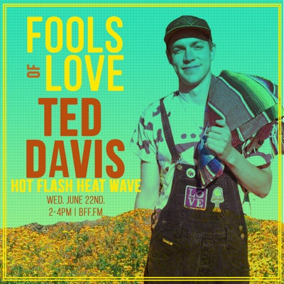 Ted Davis | Hot Flash Heat Wave