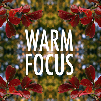 Warm Focus: Smoove B.