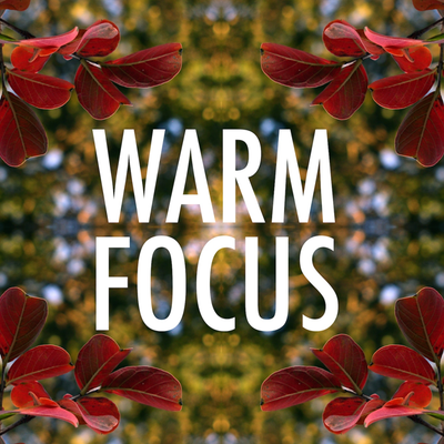 Warm Focus: Fade Down