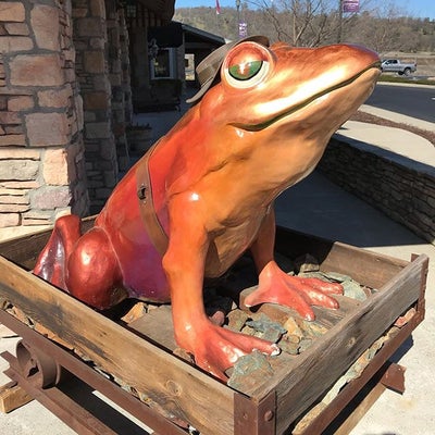 PR128 - Copper Frog