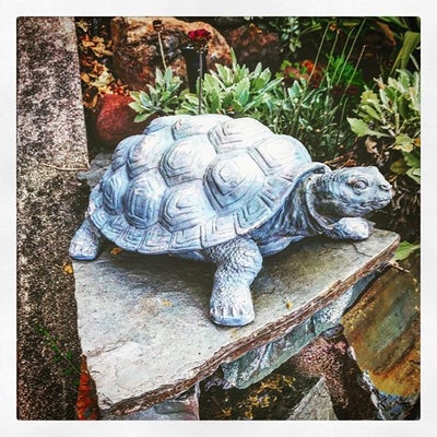 PR149 - Stone Turtle